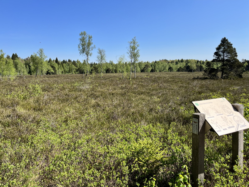 23-05-27 10-44-05 5719